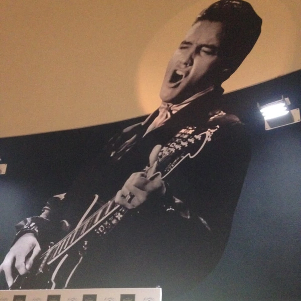 Elvis Vinyl