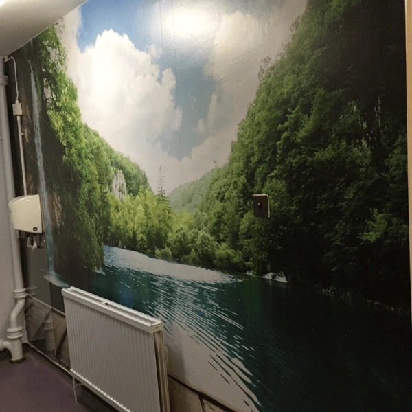 Wall Vinyls Toilets Blue
